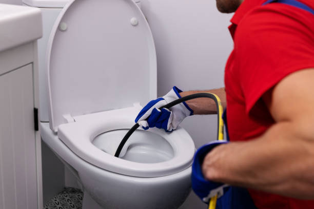 Best Affordable Plumbing Services  in Braska City, NE