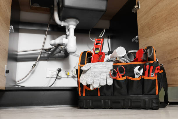 Best Best Plumbers Near Me  in Braska City, NE