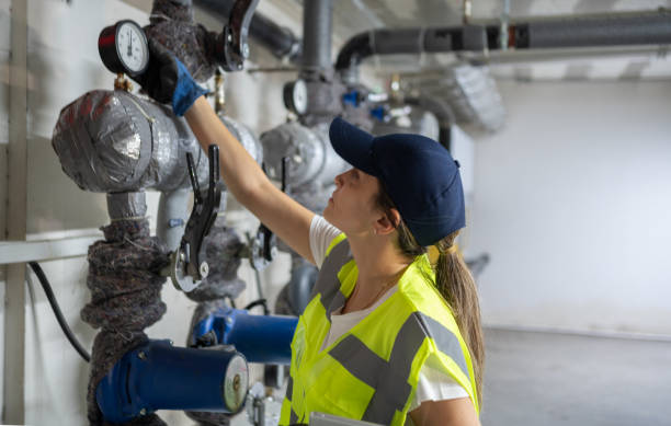 Best Plumbing Installation Services  in Braska City, NE