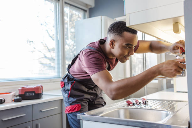 Best Plumbing Services Near Me  in Braska City, NE
